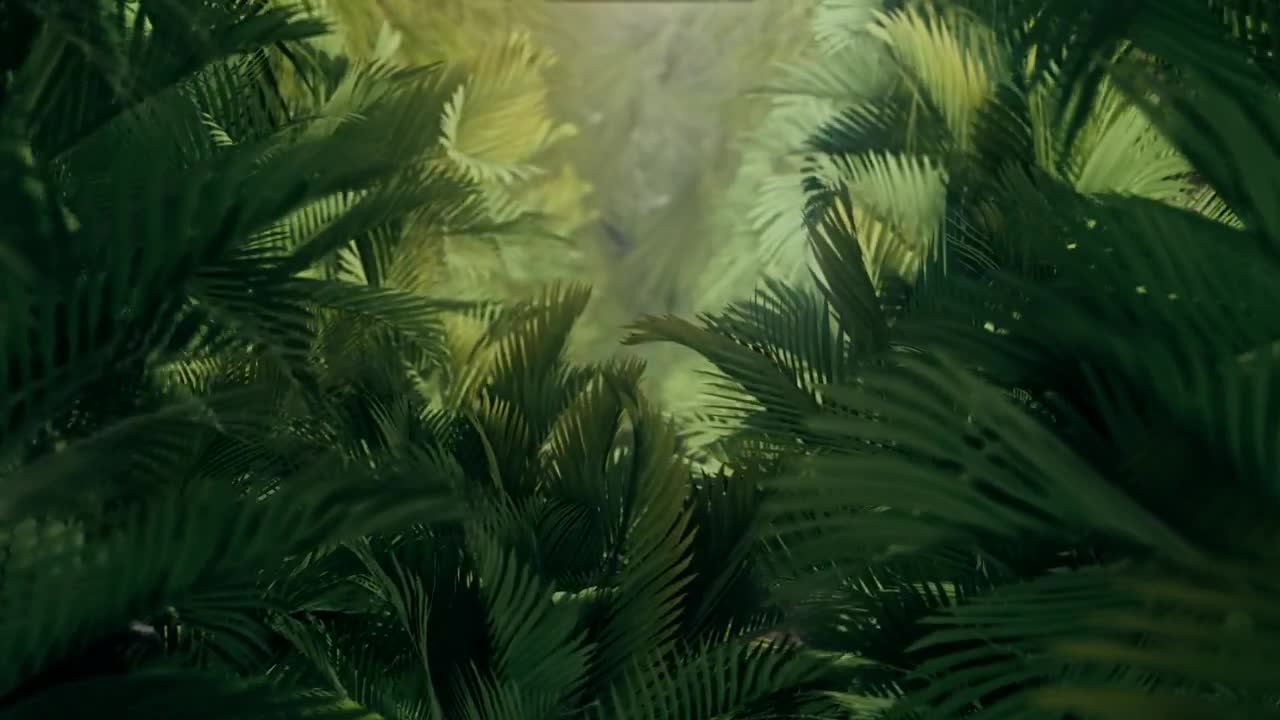Stock Video Exploring The Jungle Among Plants And Palm Trees Live Wallpaper For PC - Free Download
