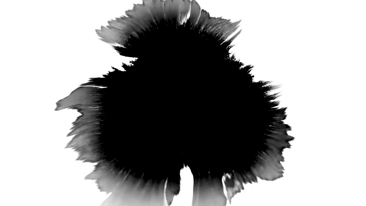 Free Stock Video Single Black Splatter Live Wallpaper - Free Download