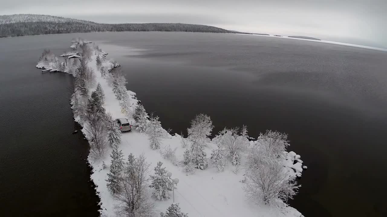 Stock Video Frozen Trees And An Ice Cold Ocean Live Wallpaper For PC - Free Download