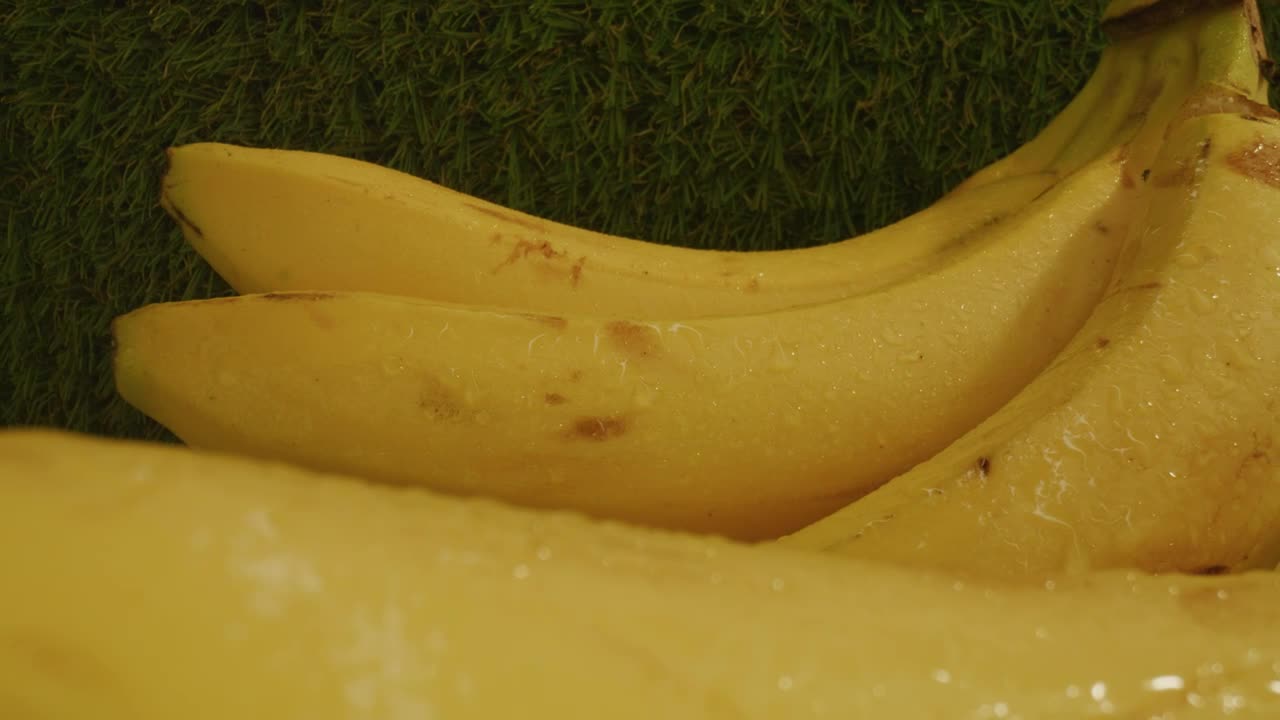 Stock Video Pair Of Plantain Stalks In A Close Up Shot Live Wallpaper - Free Download