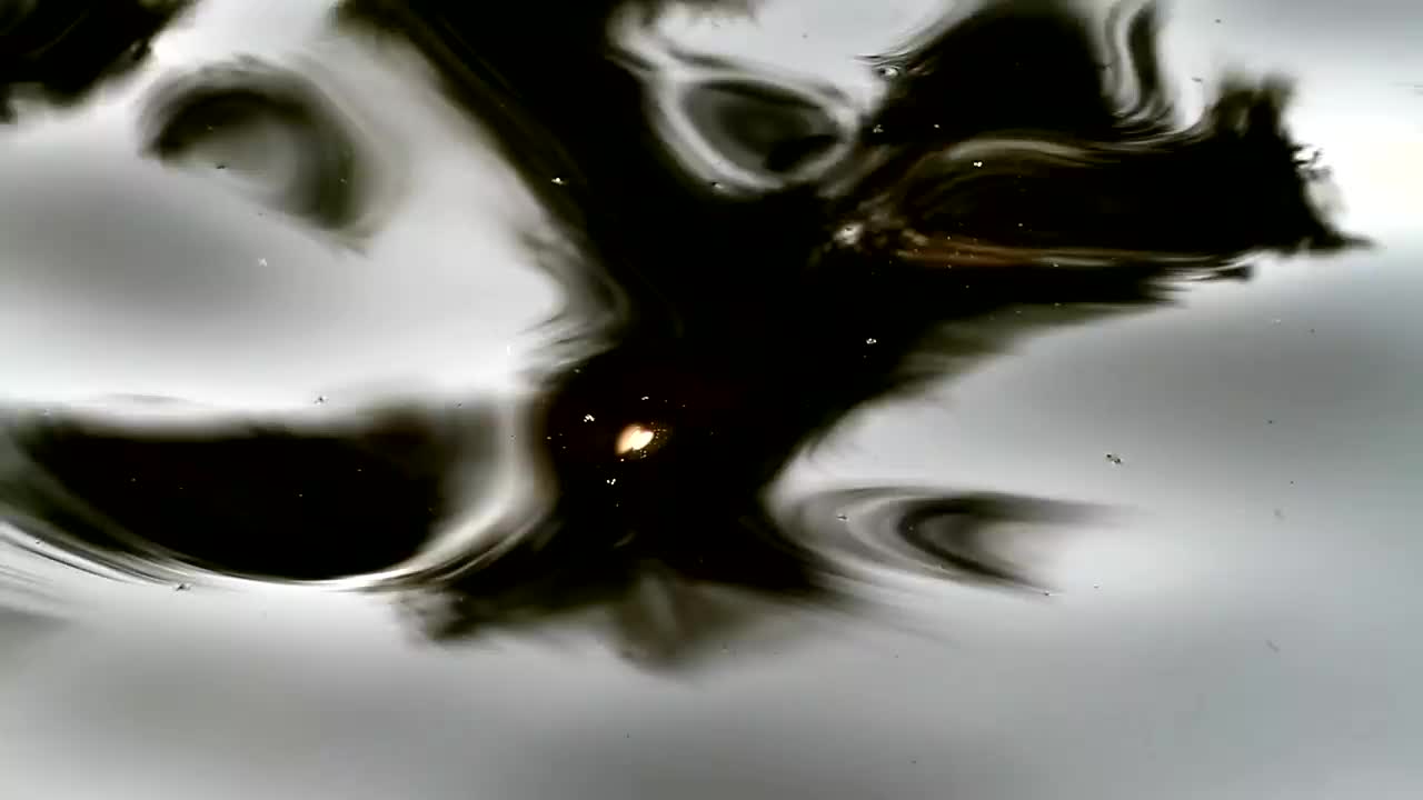 Free Stock Video Reflections In The Water Live Wallpaper - Free Download