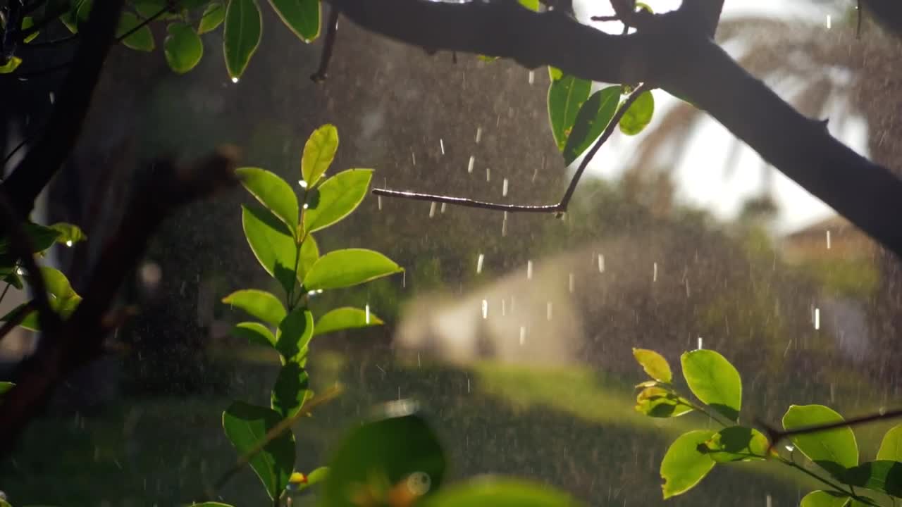 Free Video Stock Soft Rain And Sun Shine Live Wallpaper - Free Download