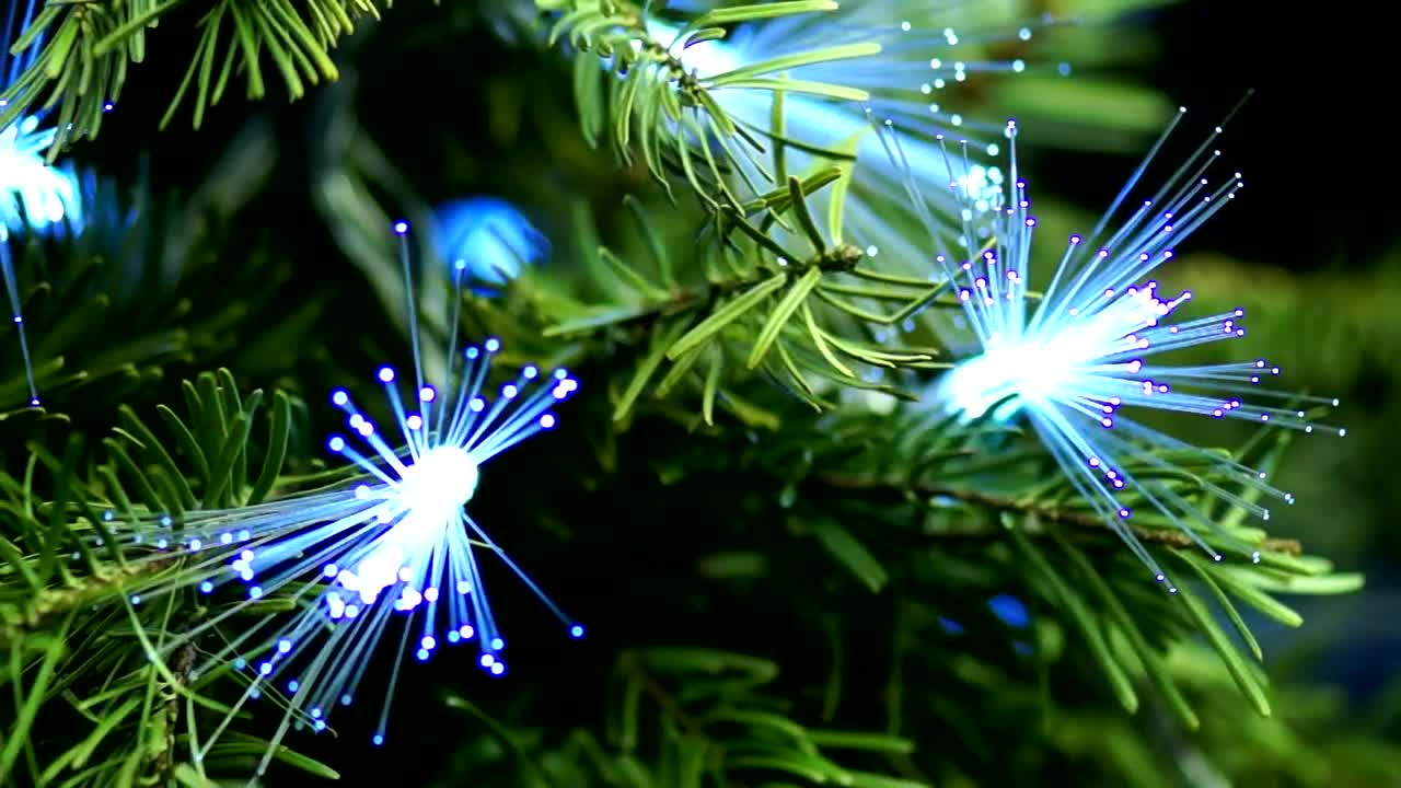 Video Stock Christmas Tree Decorated With Optic Fiber Live Wallpaper For PC - Free Download