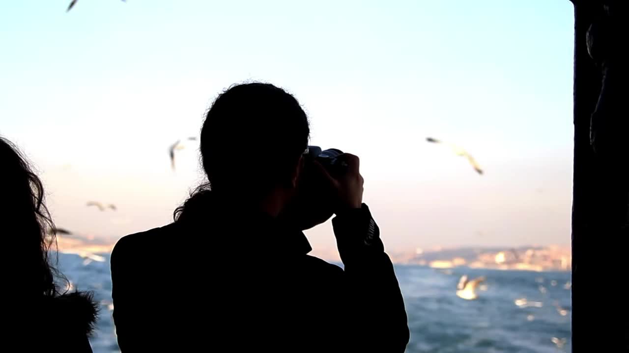 Free Stock Video Young Person Taking Pictures Of Seagulls Live Wallpaper - Free Download