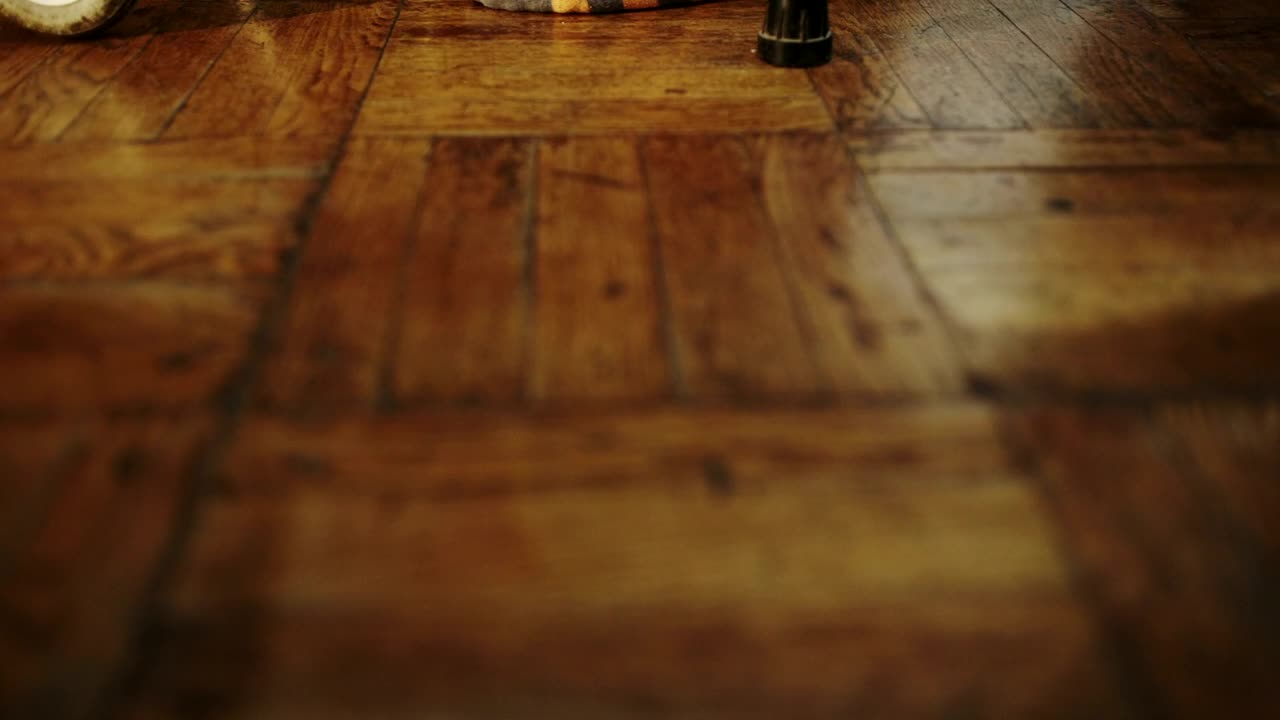 Stock Video Elderly Woman Moving With A Walker Live Wallpaper For PC - Free Download