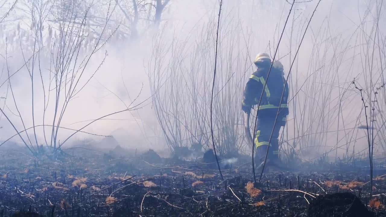 Stock Video Firefighters Extinguishing A Fire In The Woods Live Wallpaper For PC - Free Download