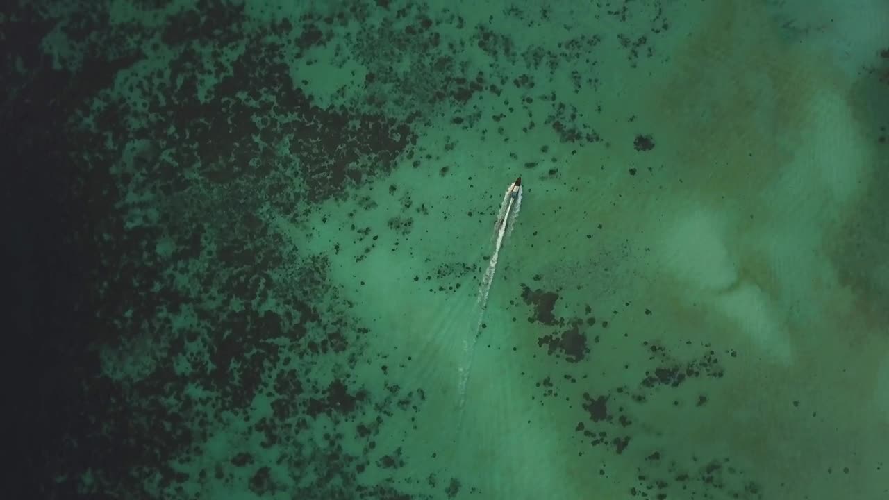 Free Video Stock Speedboats Sailing In Clear Water Live Wallpaper - Free Download