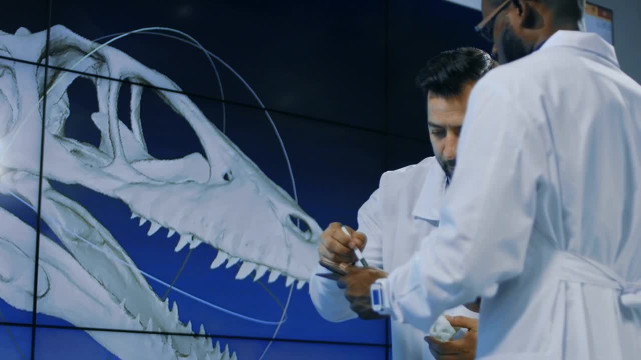 Stock Video Conversation About Dinosaurs Skull Live Wallpaper For PC - Free Download