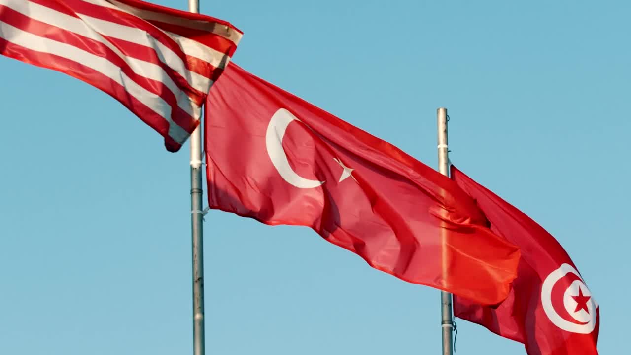 Stock Video Flags From Different Countries Waving With The Wind Live Wallpaper For PC - Free Download