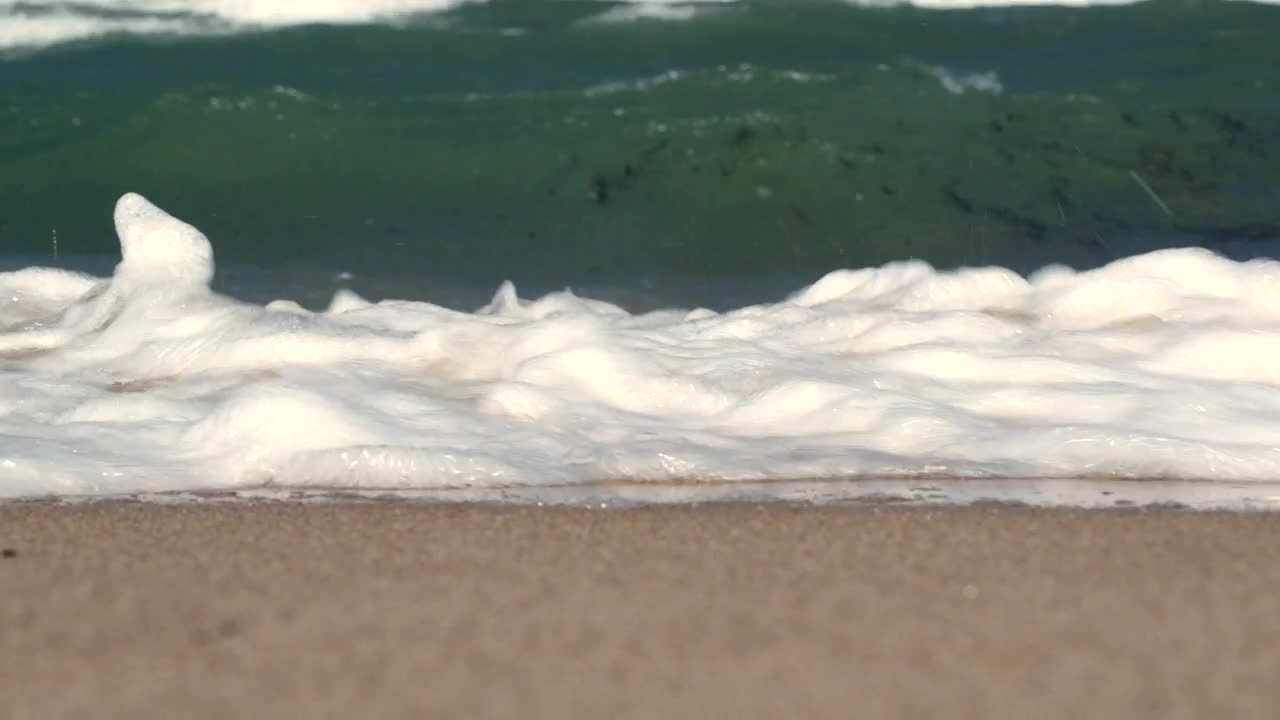 Free Stock Video Waves And Seaweed Washing Ashore Live Wallpaper - Free Download