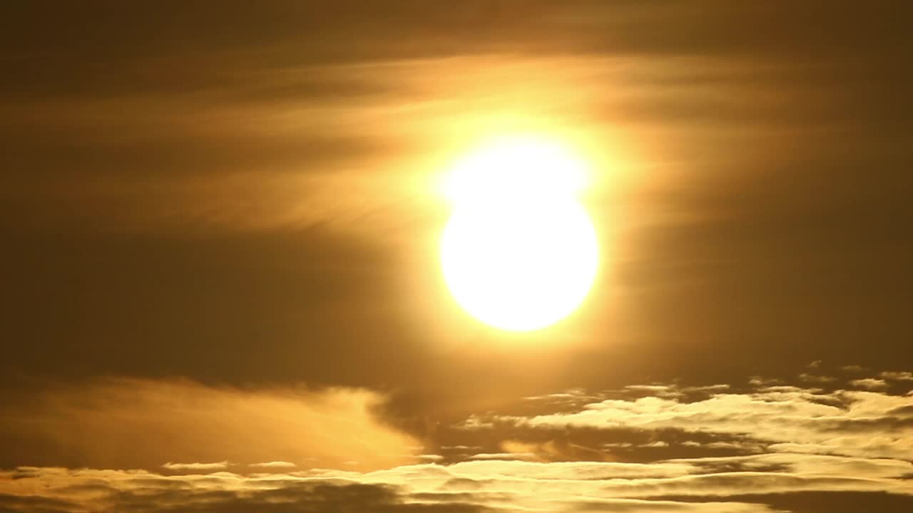 Free Video Stock sunrise in the tropics Live Wallpaper - Free Download