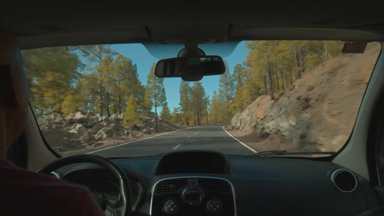 Stock Video Driving Through A Forest In Tenerife Live Wallpaper For PC - Free Download