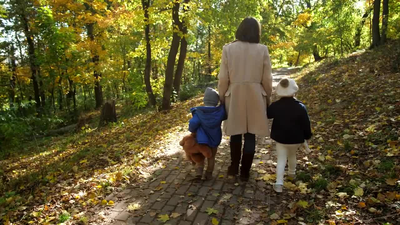 Stock Video Mother And Hers Sons Walking Through A Fores Animated Wallpaper - Free Download