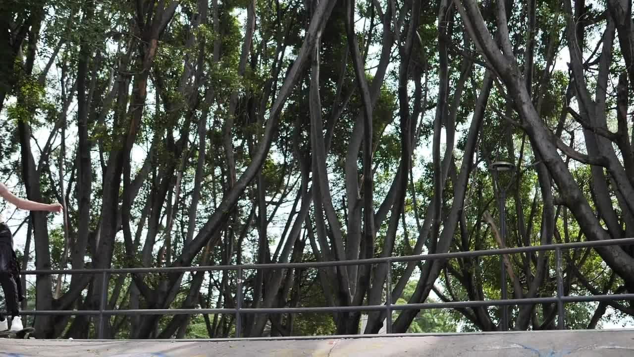 Free Video Stock Skater Going Down A Park Ramp Live Wallpaper - Free Download