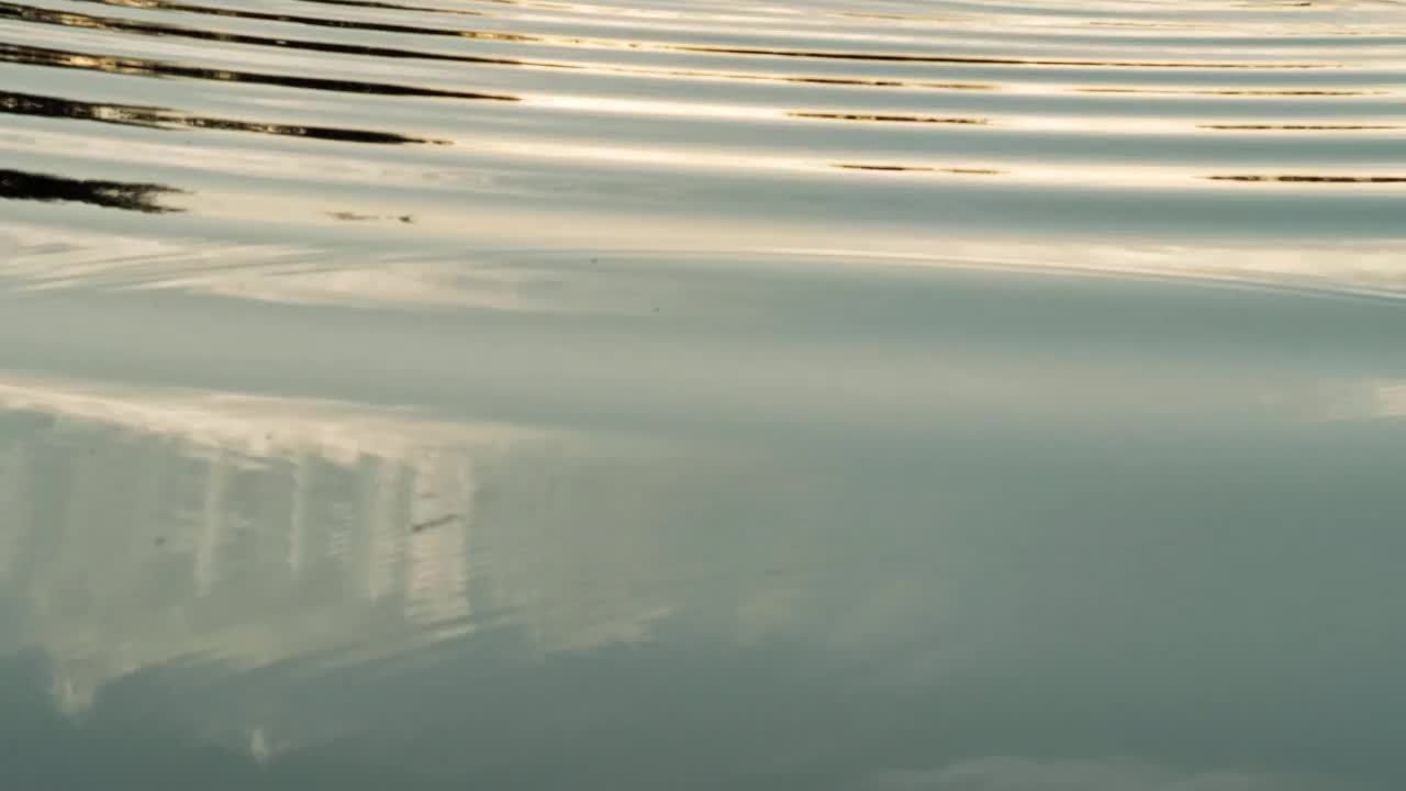 Stock Footage Water Ripples Live Wallpaper - Free Download