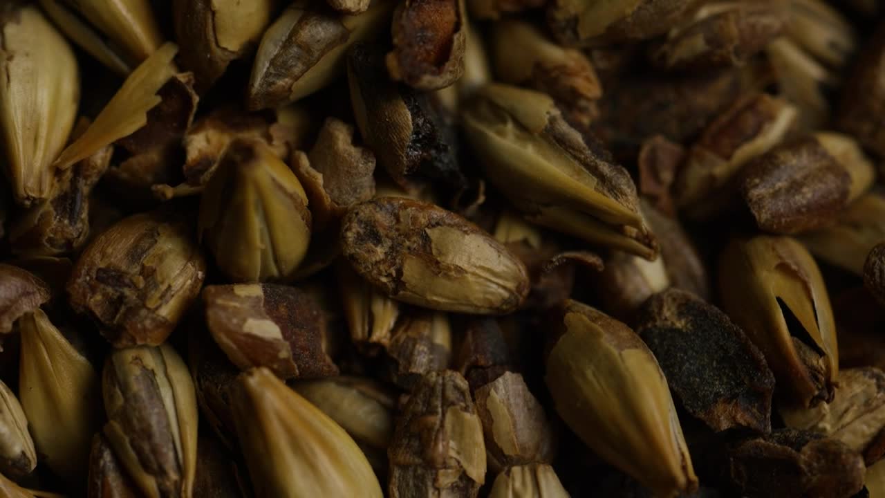 Free Stock Video Rotating Barley Grains Live Wallpaper - Free Download