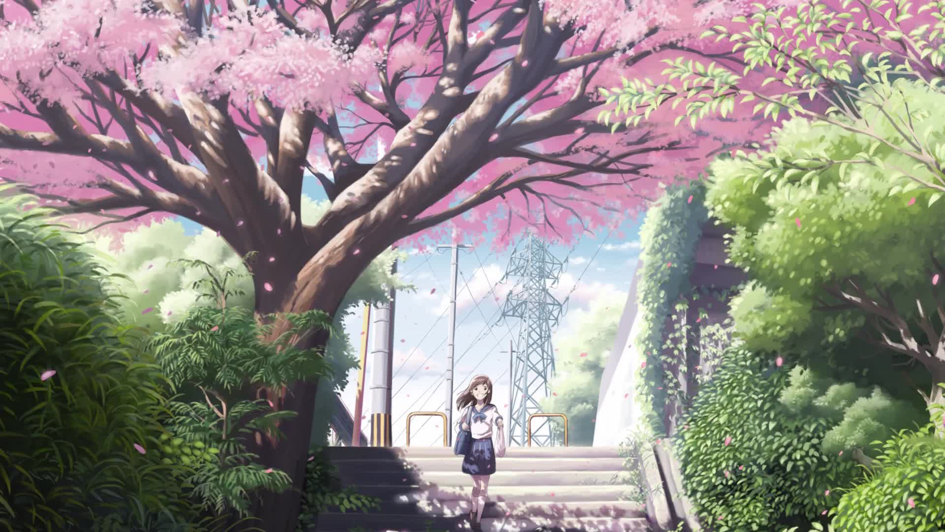 Anime Girl Relaxing Sakura Trees Live Wallpaper Free - Free Download