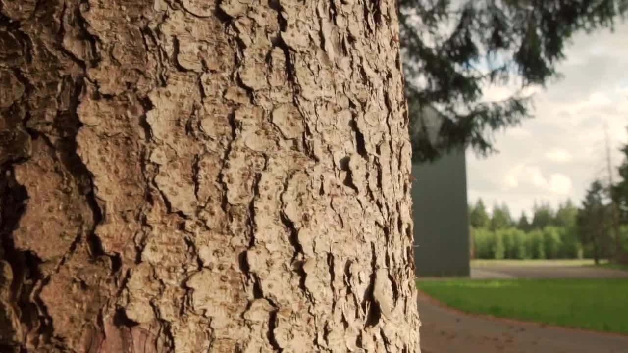 Stock Video Nature Property With A Large Cellar LargeLive Wallpaper - Free Download