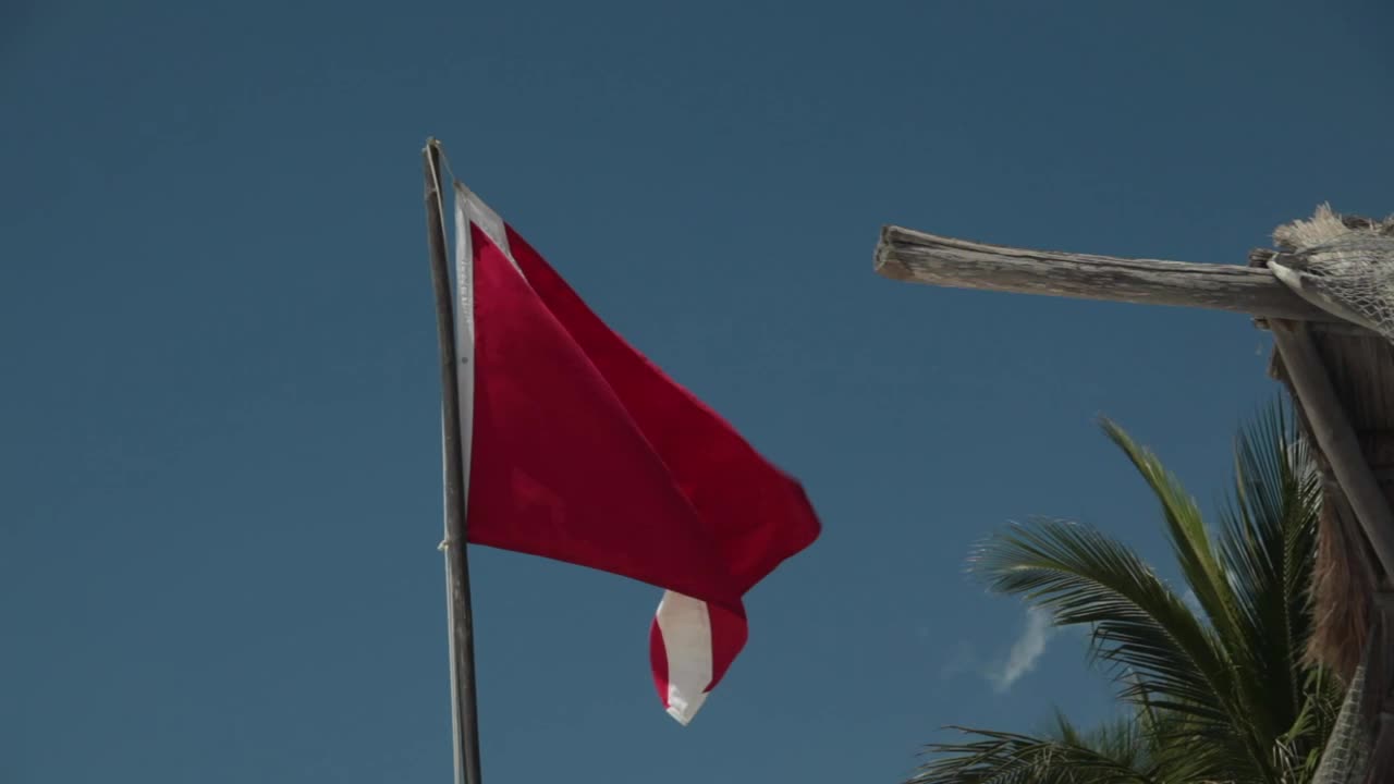 Stock Video Diver Safety Flag Live Wallpaper For PC - Free Download