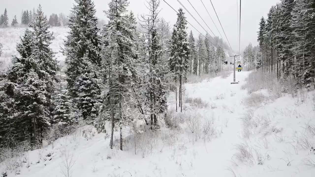 Free Video Stock Ski Station View Of A White Winter Forest Live Wallpaper - Free Download