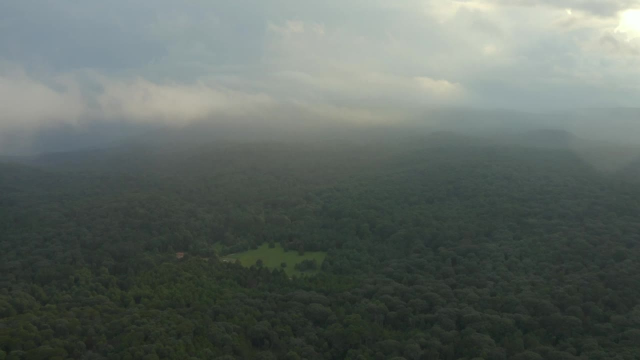 Stock Video Huge Forest Seen From The Heights During A Cloudy Day Animated Wallpaper - Free Download