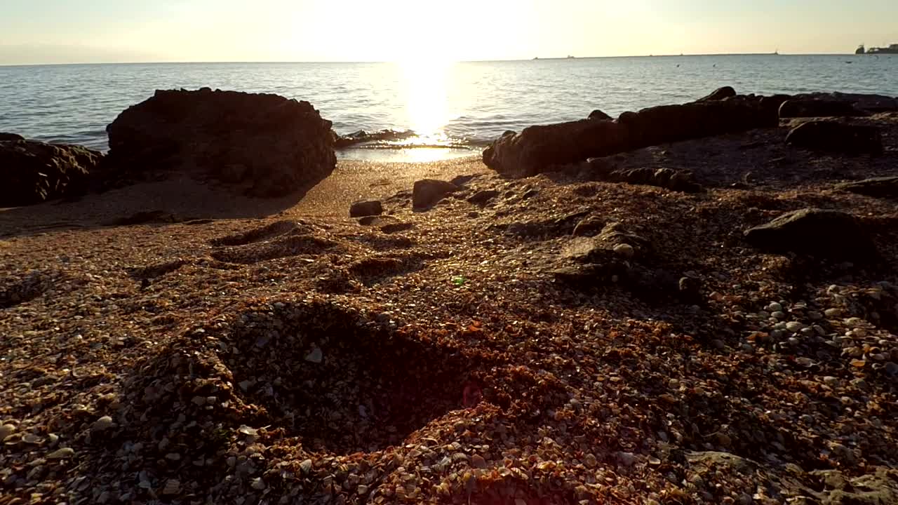 Stock Video Footprints In The Sand Live Wallpaper For PC - Free Download