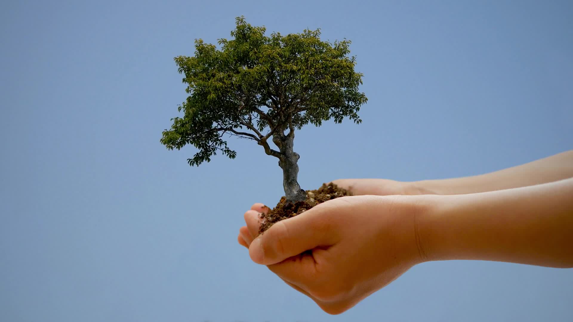 Happy Earth Day HD Live Wallpaper - Free Download