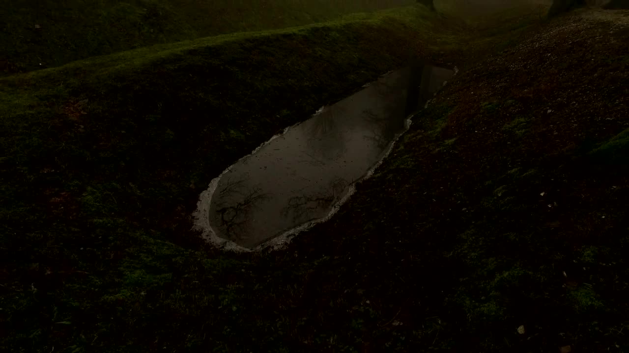 Video Stock Castle Wall In A Misty Forest Live Wallpaper For PC - Free Download