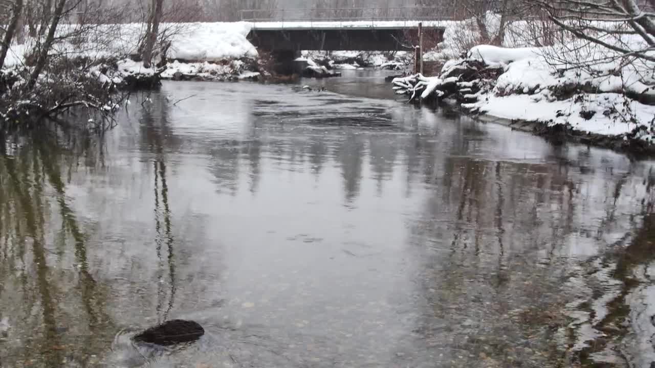 Free Stock Video River In A Snowy Forest In Canada Live Wallpaper - Free Download