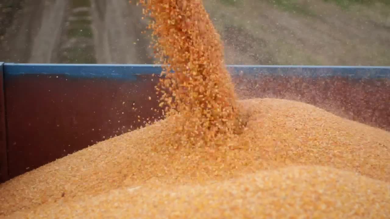 Stock Video Combine Harvester Unloading Live Wallpaper For PC - Free Download