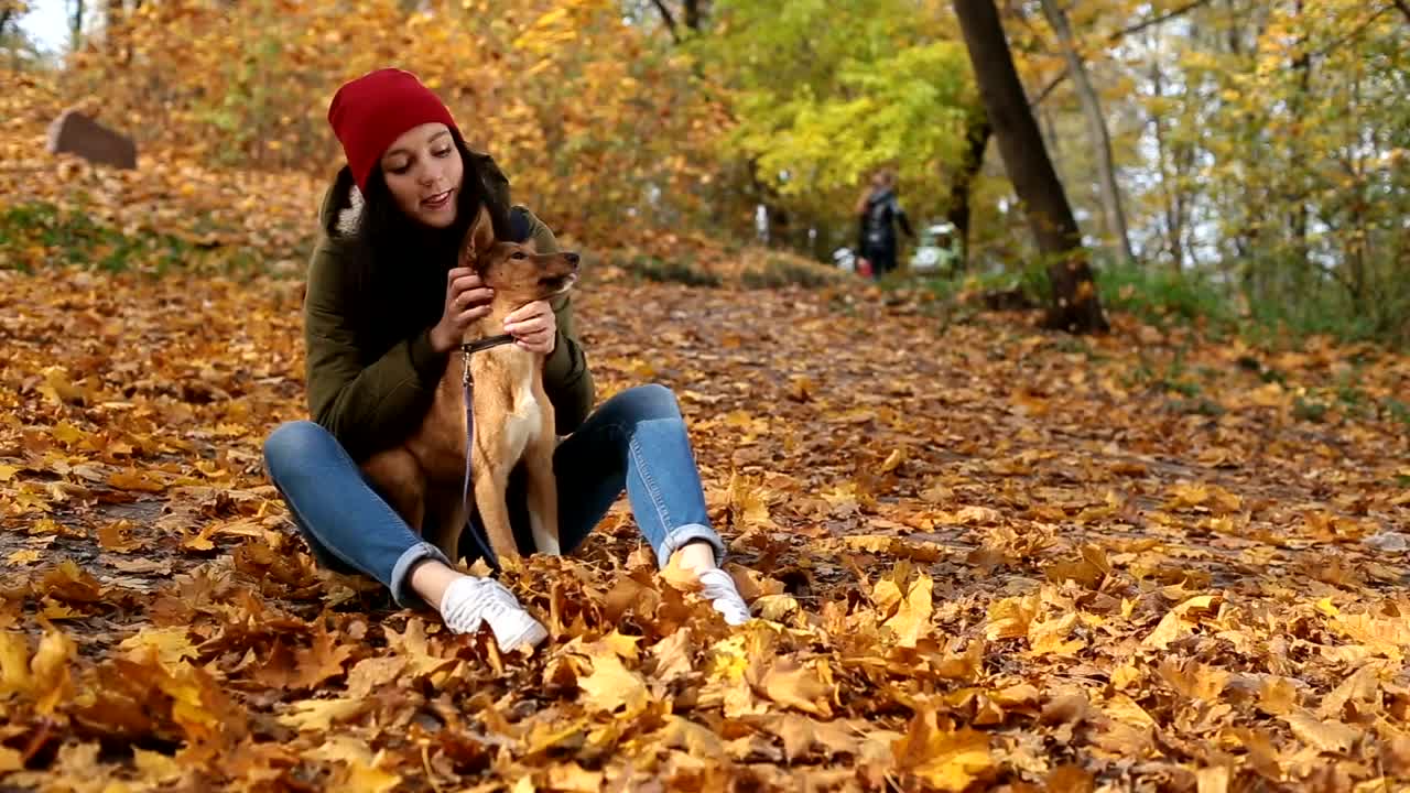 Stock Video Girl Stroking Her Dog In Nature In Autumn Live Wallpaper For PC - Free Download