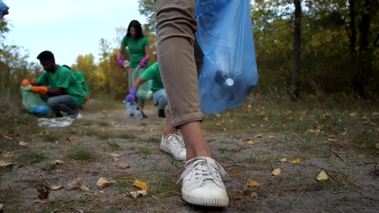 Stock Video Collecting Rubbish Left In A Forest Live Wallpaper For PC - Free Download