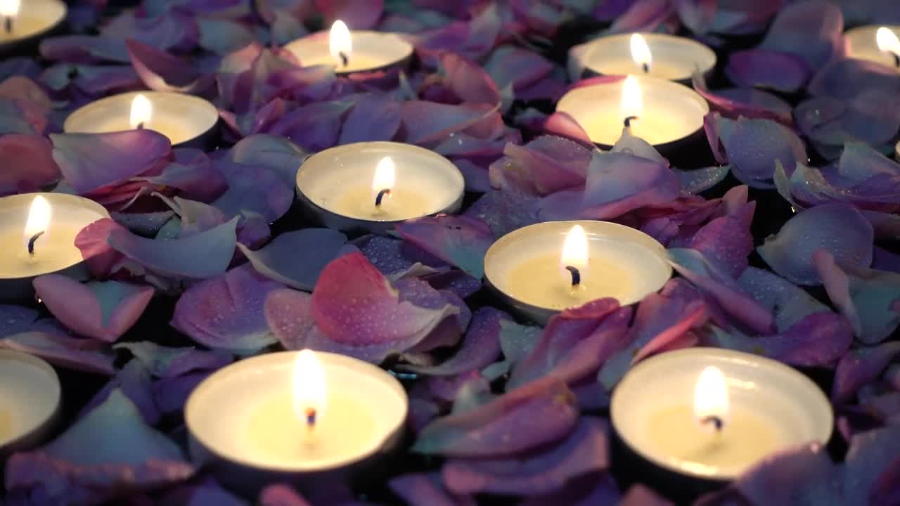 Free Stock Video Roses And Candles Floating In A Wedding Decoration Live Wallpaper - Free Download