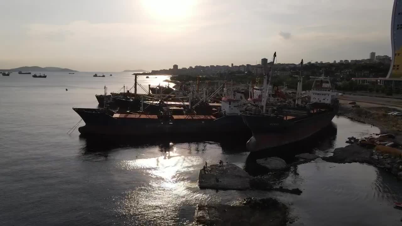 Stock Video Coastline Packed With Cargo Ships And Seagulls Live Wallpaper For PC - Free Download
