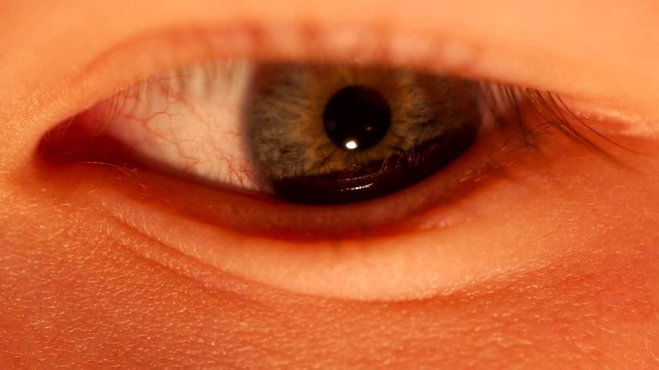 Video Stock Childs Eye Looking Around Live Wallpaper For PC - Free Download