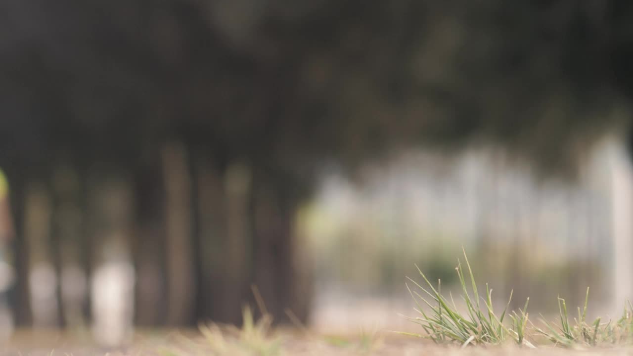 Free Stock Video Two Cyclists Biking Outdoors Live Wallpaper - Free Download