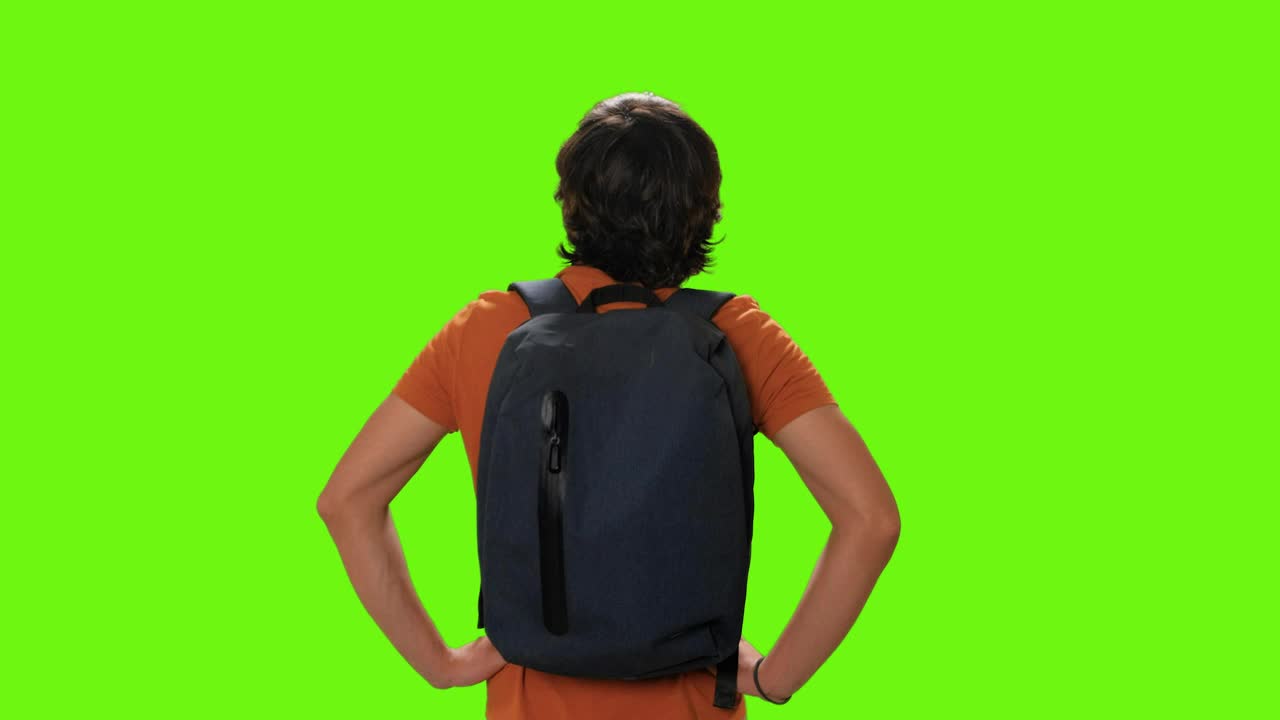 Free Video Stock tourist from behind appreciating the view on a chroma key Live Wallpaper - Free Download
