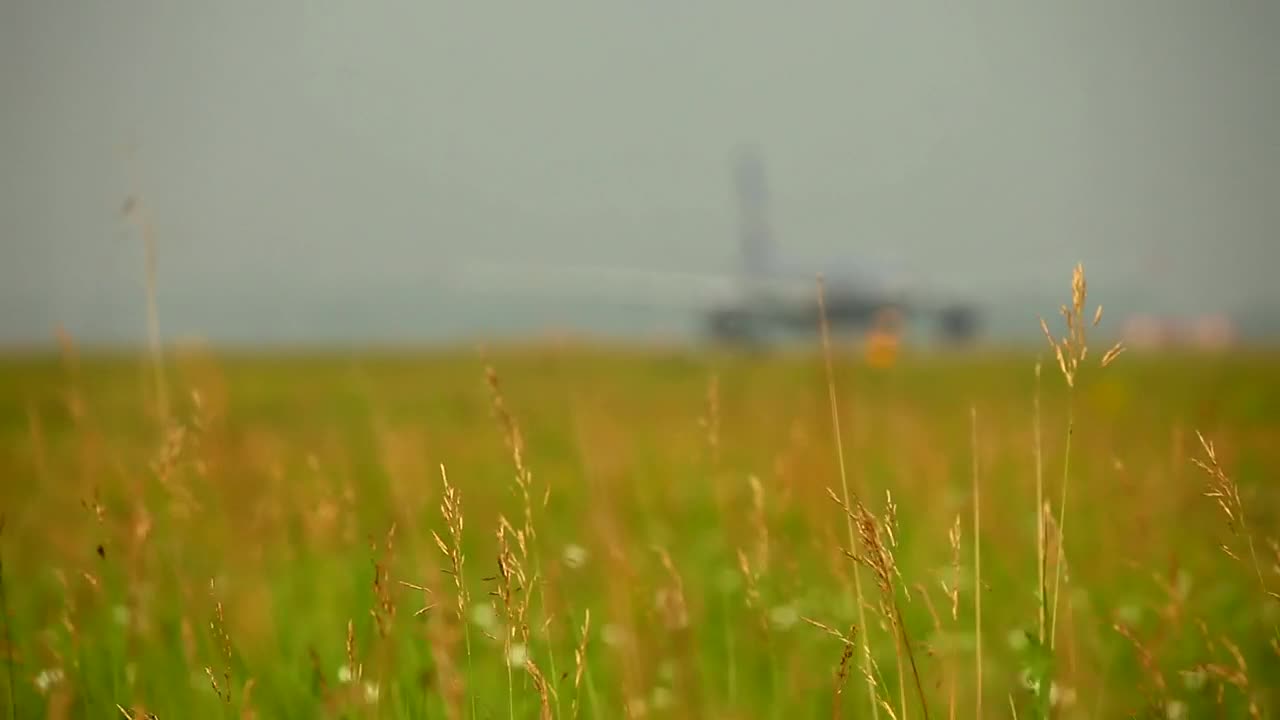 Stock Video Field And Airplane In The Background Live Wallpaper For PC - Free Download