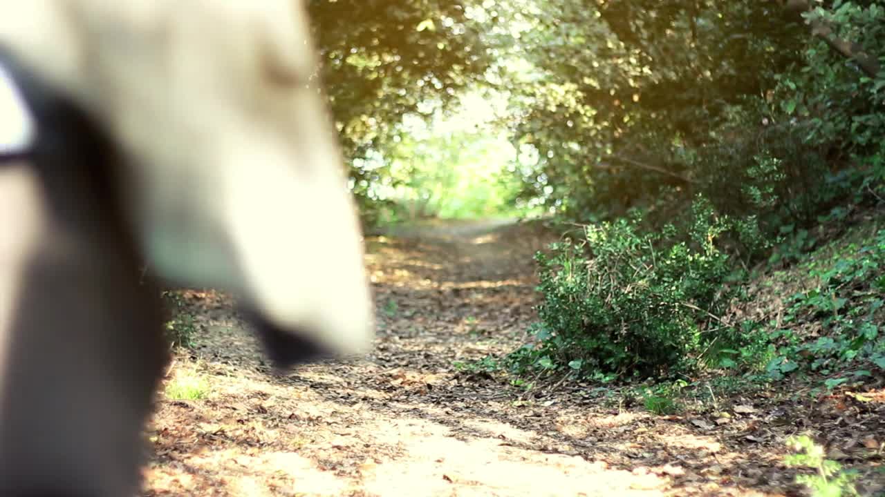 Stock Video Man Running Along A Path In A Sunny Fores Animated Wallpaper - Free Download