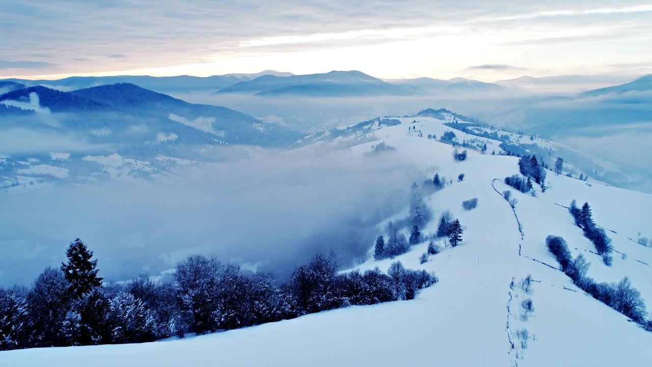 Stock Video Flying Over A Foggy Forest At A Cold Cloudy Day Live Wallpaper For PC - Free Download