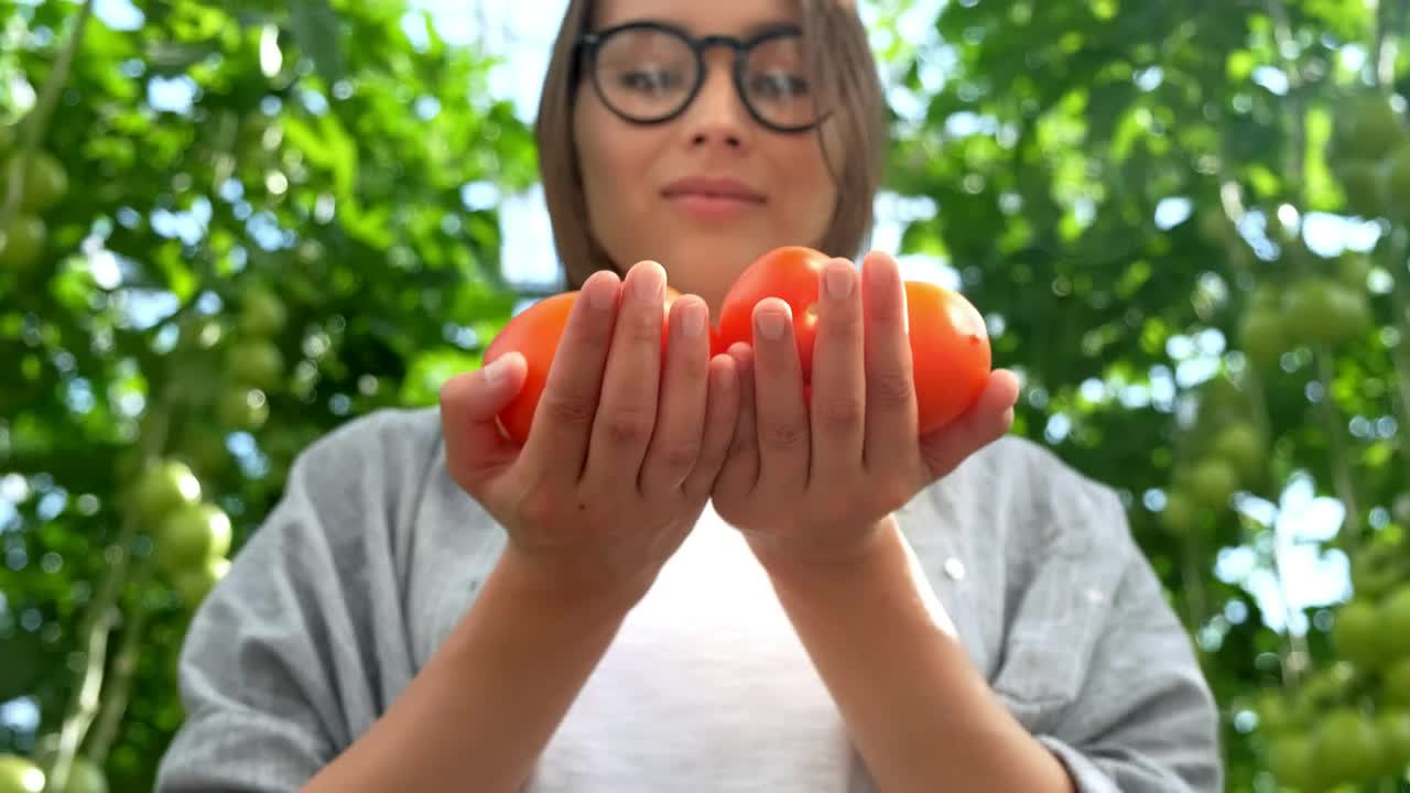 Free Stock Video Woman Smelling Fresh Tomatoes In A Greenhouse Live Wallpaper - Free Download