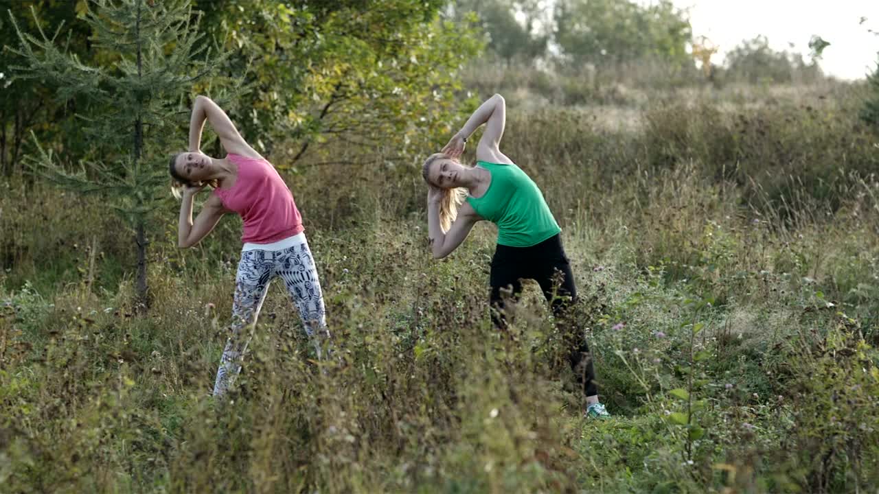 Stock Video Girls Stretching In A Field Live Wallpaper For PC - Free Download