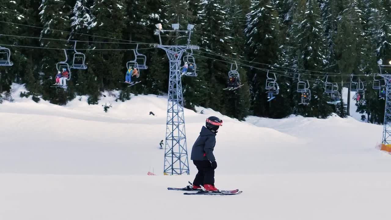 Video Stock Children Skiing On The Plain Of A Pine Forest Live Wallpaper For PC - Free Download
