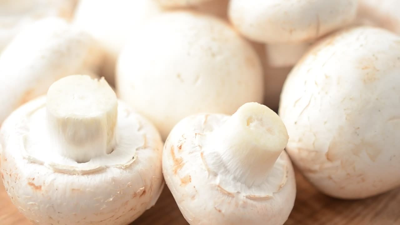 Stock Footage White Mushrooms In Detail Live Wallpaper - Free Download