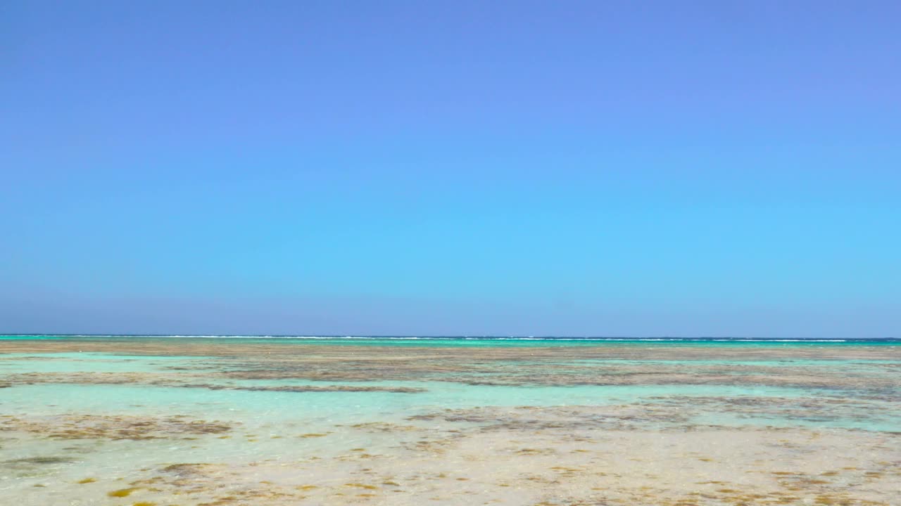 Stock Video Crystal Clear Waters Along The Beach Live Wallpaper For PC - Free Download