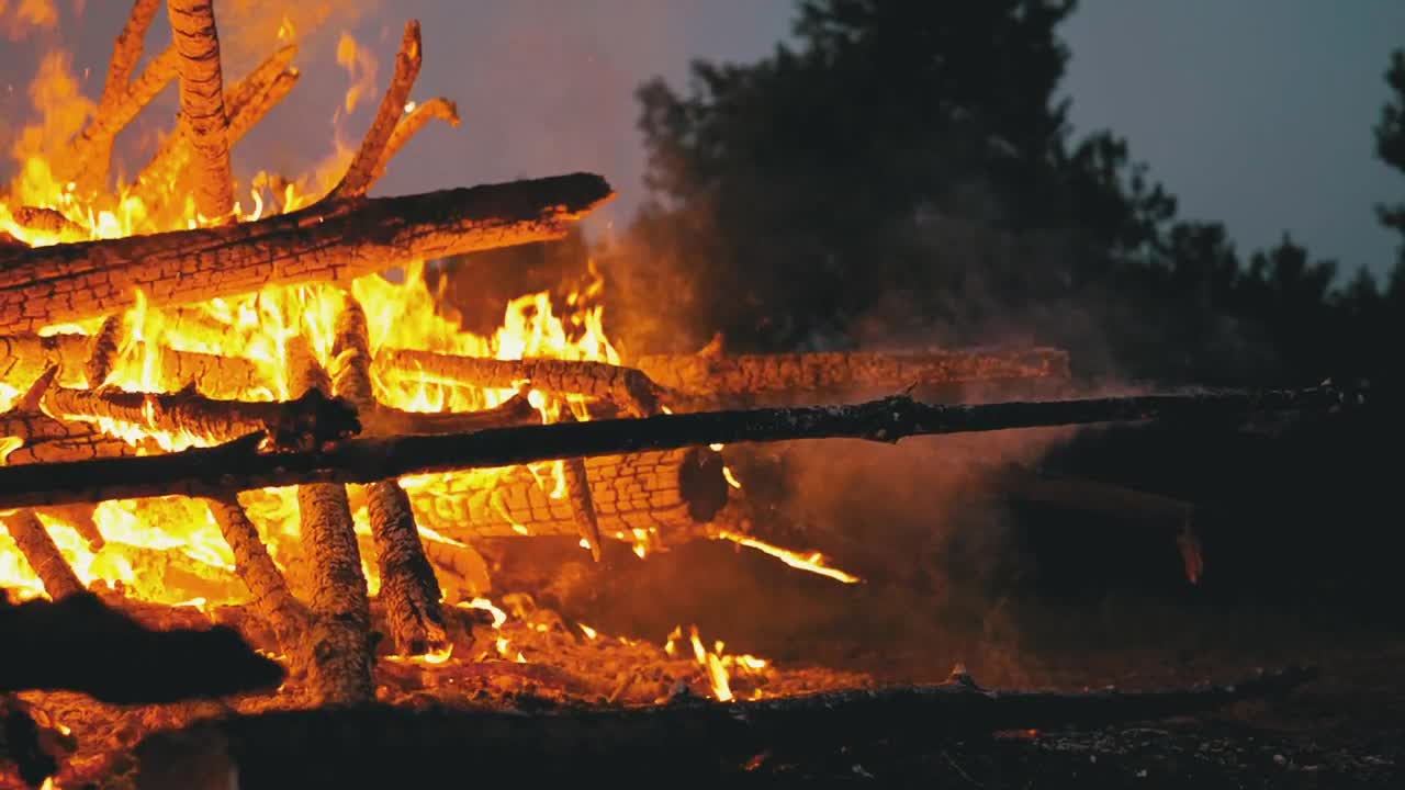 Stock Video Firewood Burning In A Forest Close Up Live Wallpaper For PC - Free Download