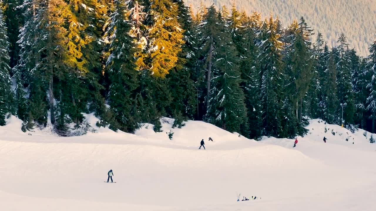 Video Stock Plain Near A Forest With Skiers Live Wallpaper Free - Free Download