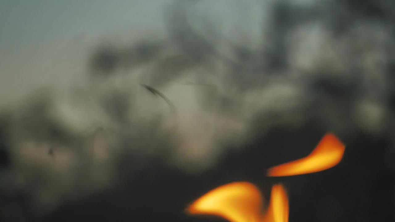 Free Video Stock Smoke Coming Out Of The Fire Live Wallpaper - Free Download