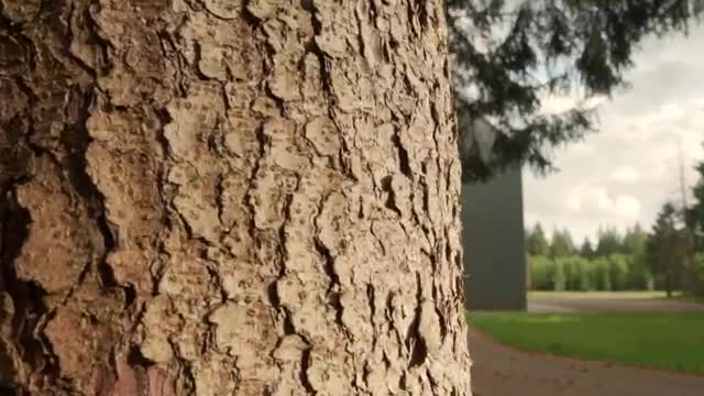 Stock Video Nature Property With A Large Cellar Live Wallpaper - Free Download