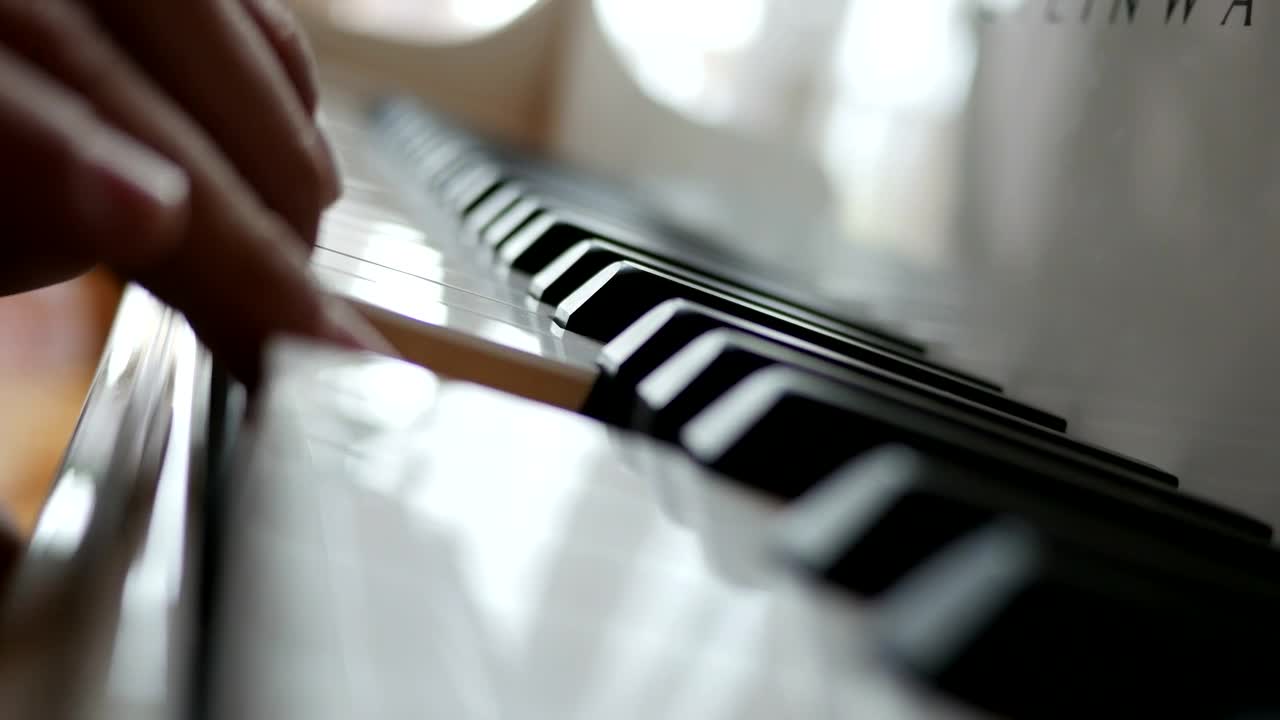 Stock Video Fingers Playing The Piano Live Wallpaper For PC - Free Download